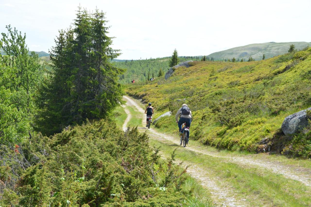 Spidsbergseter Rondane Hotel