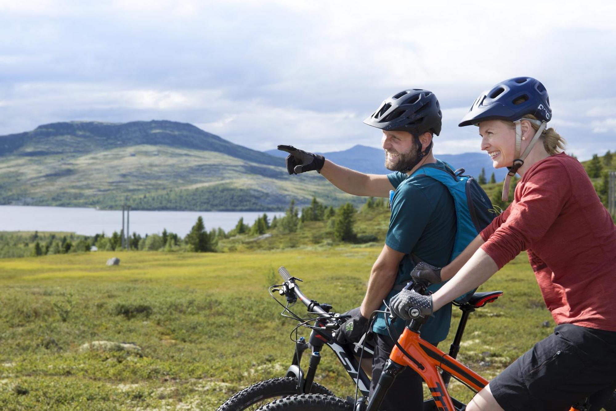 Hotel Spidsbergseter Rondane *